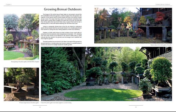 bonsai book